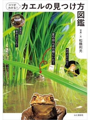 cover image of コツがわかる!カエルの見つけ方図鑑
